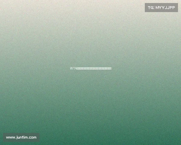 WTA全球巡回赛大满贯总决赛女子网球巅峰对决全景展示